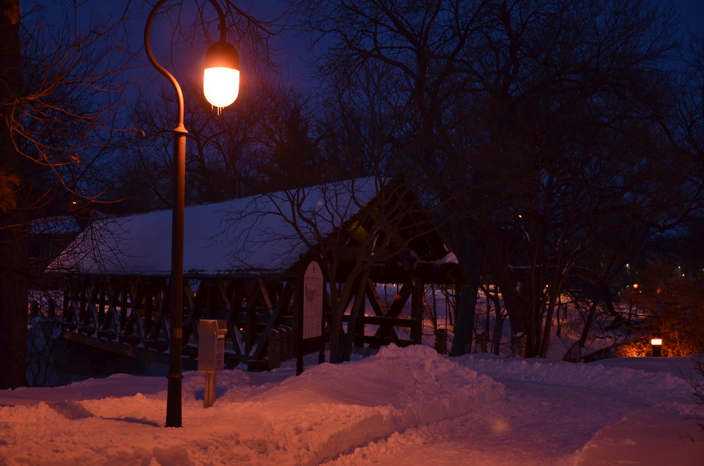 Naperville Snow Storm 243