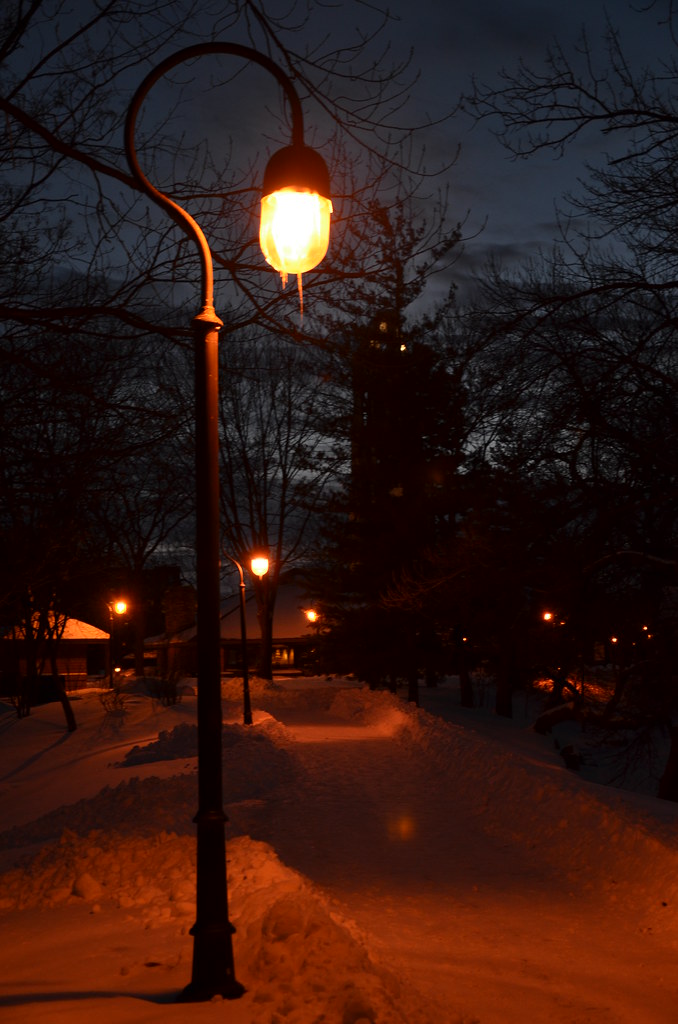 Naperville Snow Storm 262