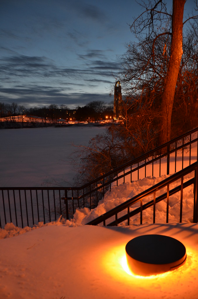 Naperville Snow Storm 276