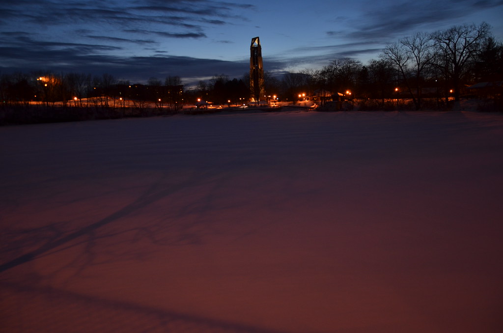 Naperville Snow Storm 301