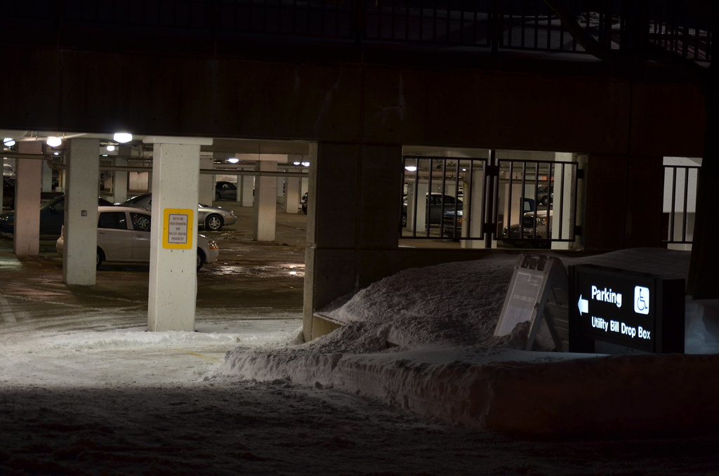 Naperville Snow Storm 327