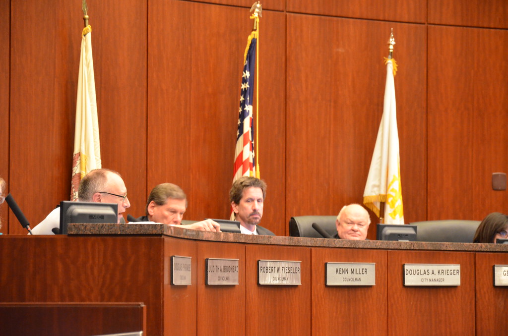Naperville City Council Meeting 132