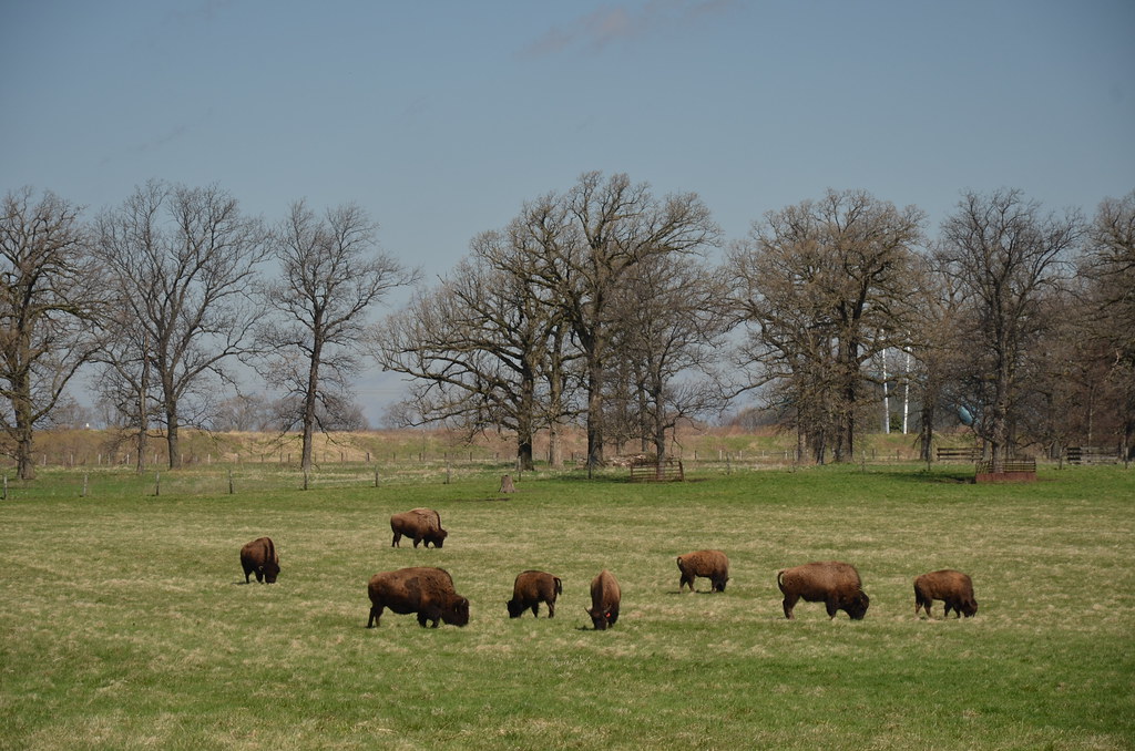 Fermilab 087