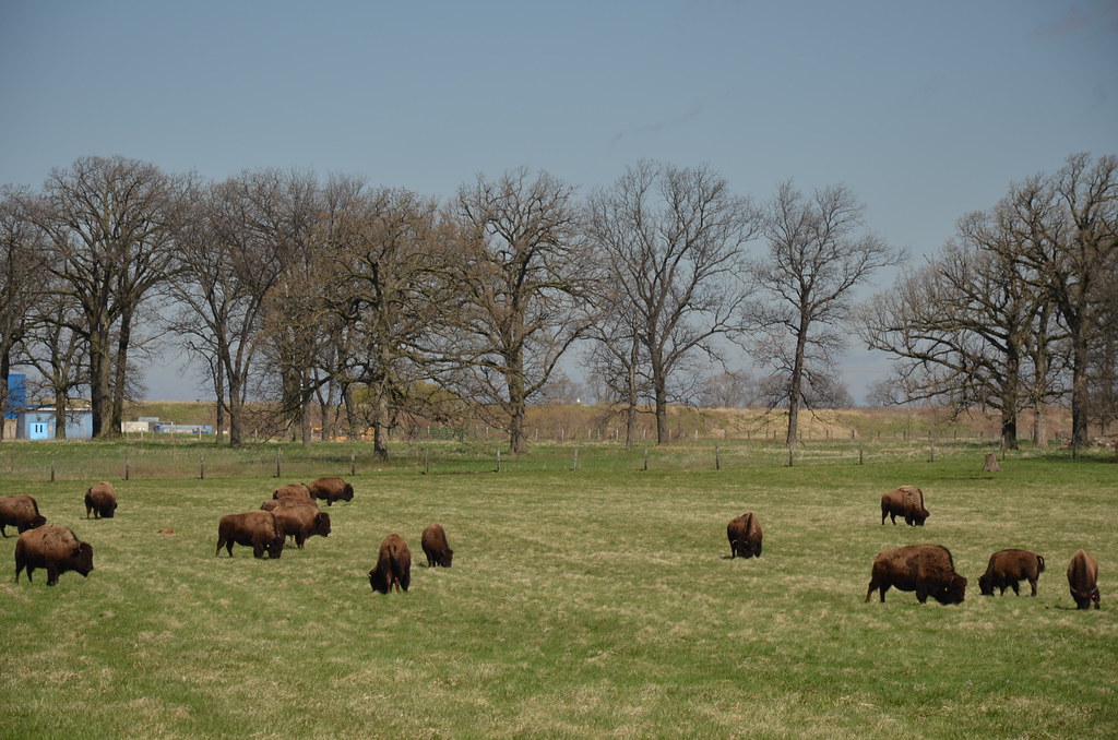 Fermilab 088