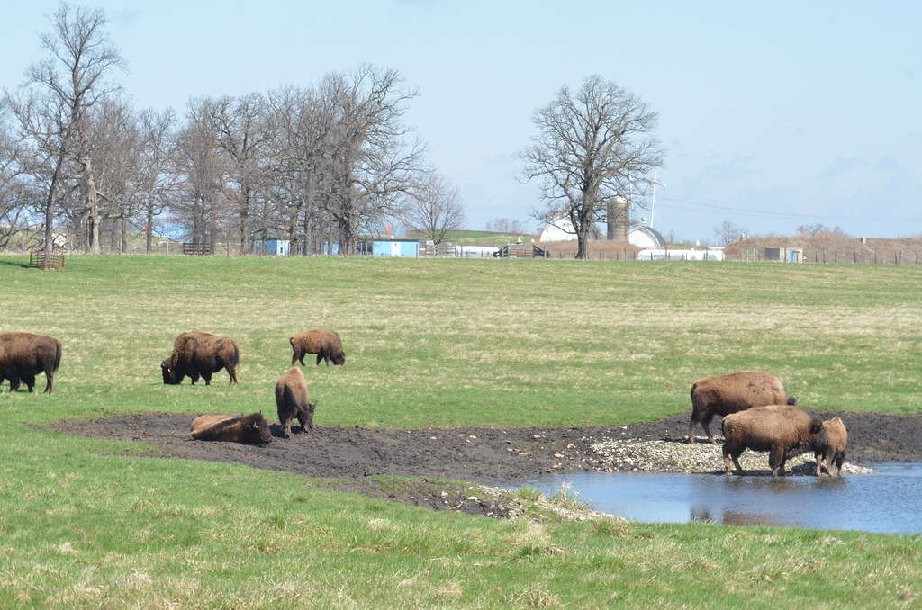 Fermilab 103