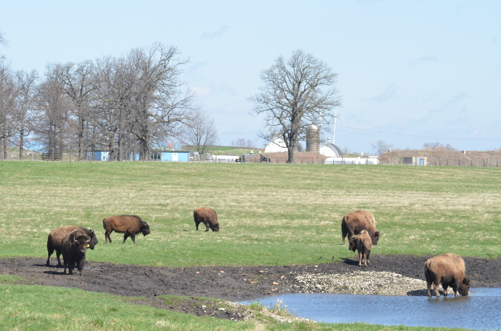 Fermilab 109
