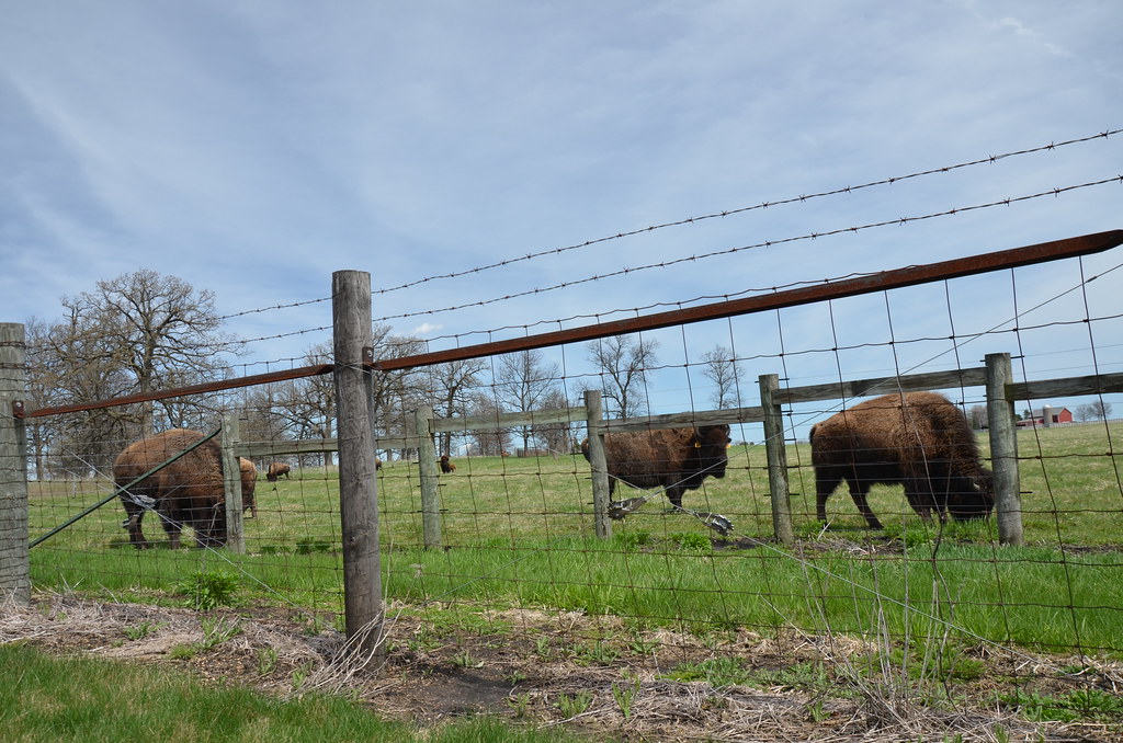 Buffalo at Fermi National Laboratory