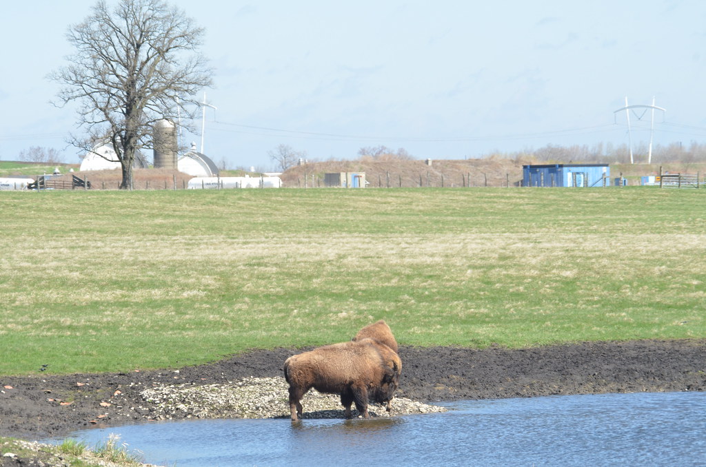 Fermilab 105