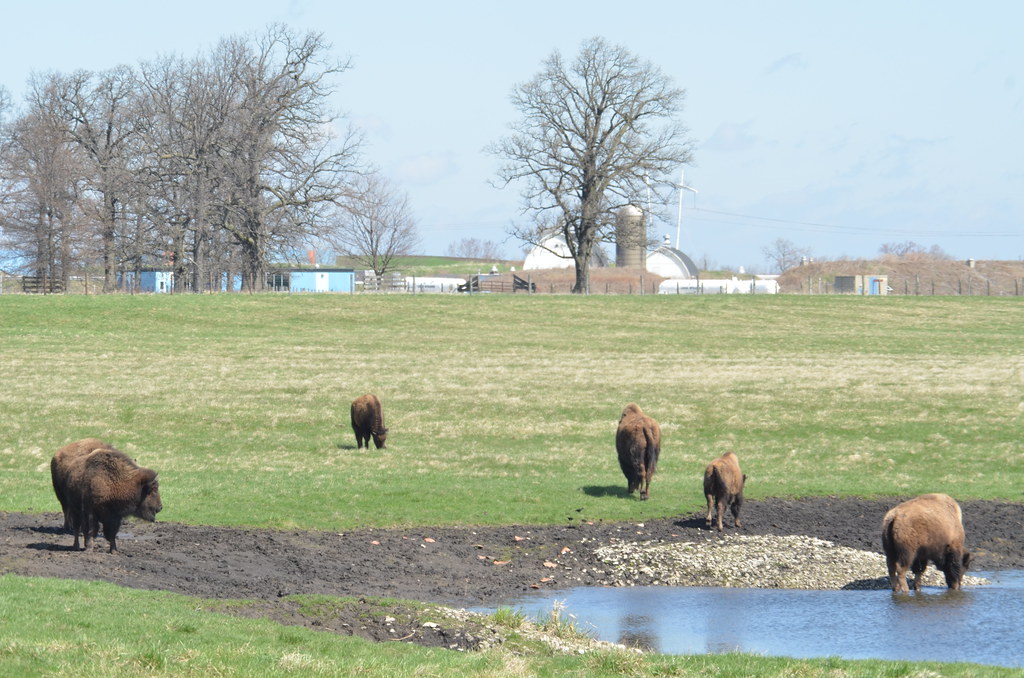 Fermilab 107