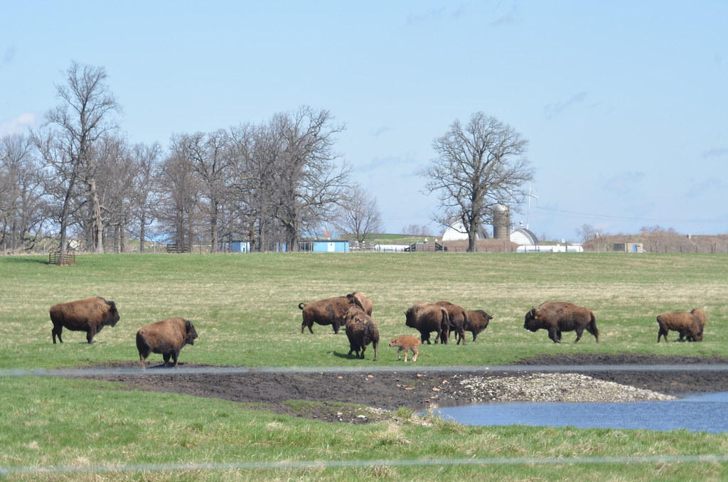Fermilab 114
