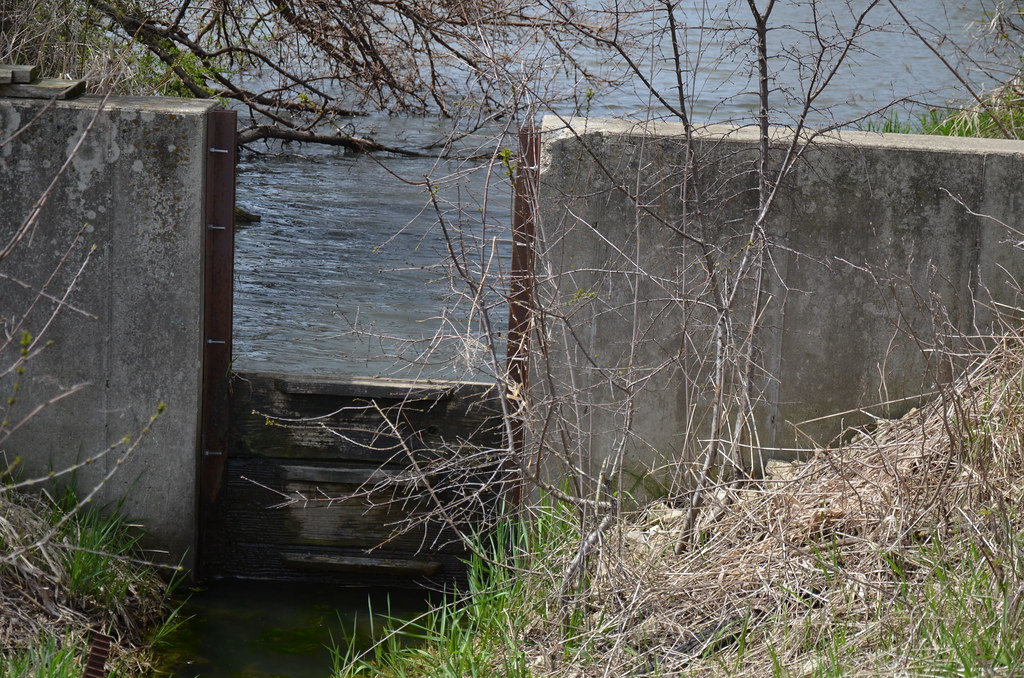 Fermilab 286