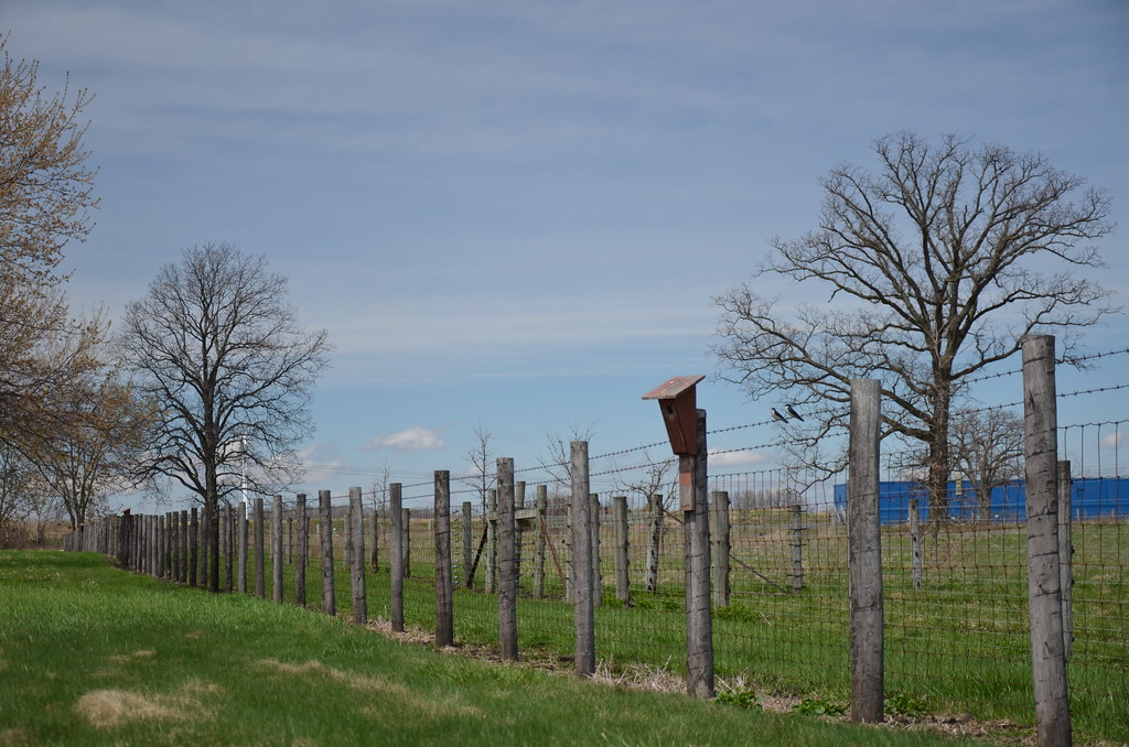 Fermilab 291