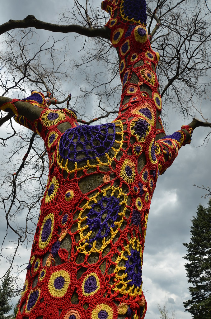 Knit Clothing on Tree