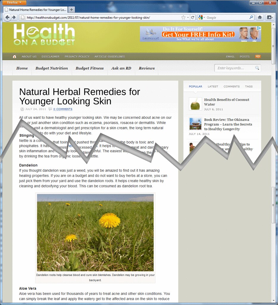 Image used by HealthOnABudget.com