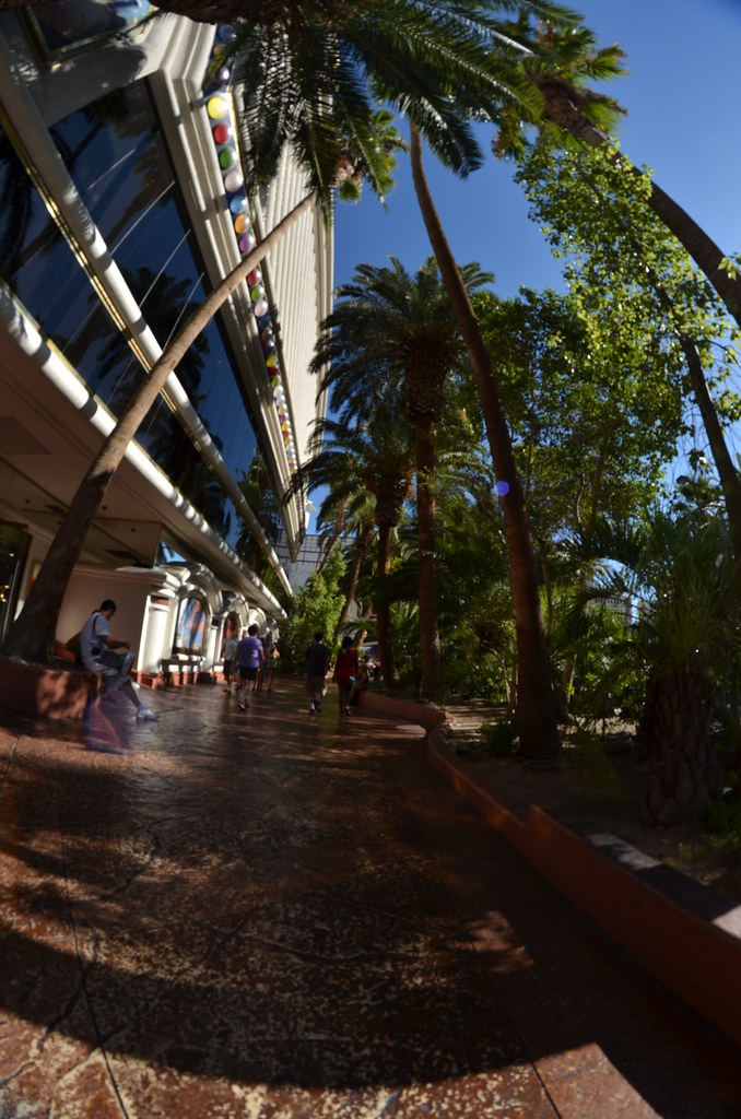 Las Vegas 029