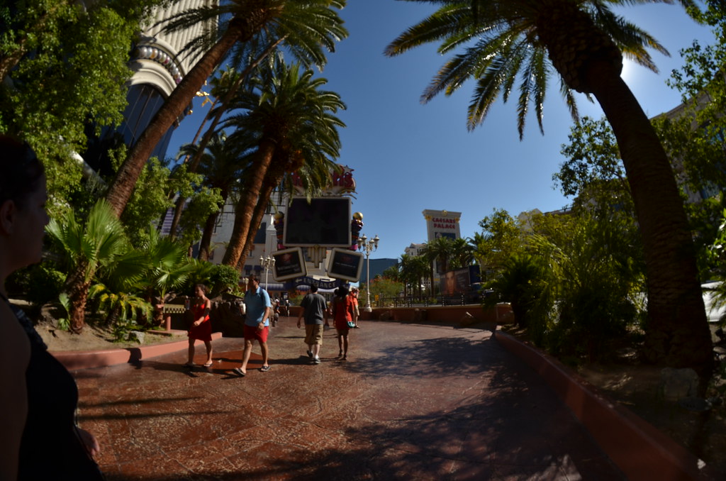 Las Vegas 030