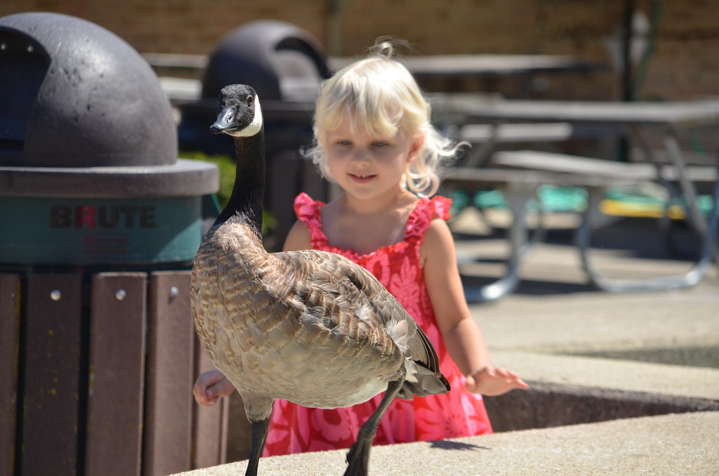 Brookfield Zoo 061