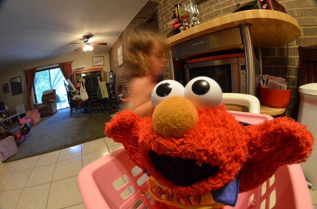 Elmo Fisheye