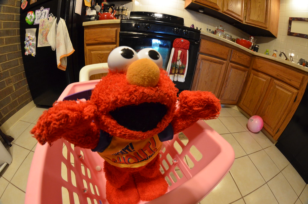 Fisheye Elmo