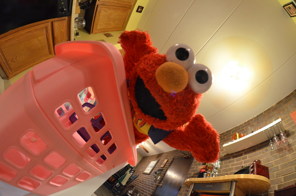 Crazy Fisheye Elmo