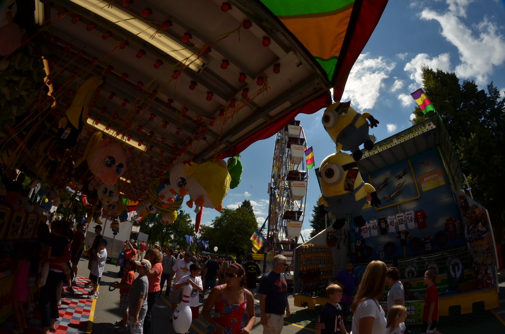 Naperville Last Fling Carnival 256