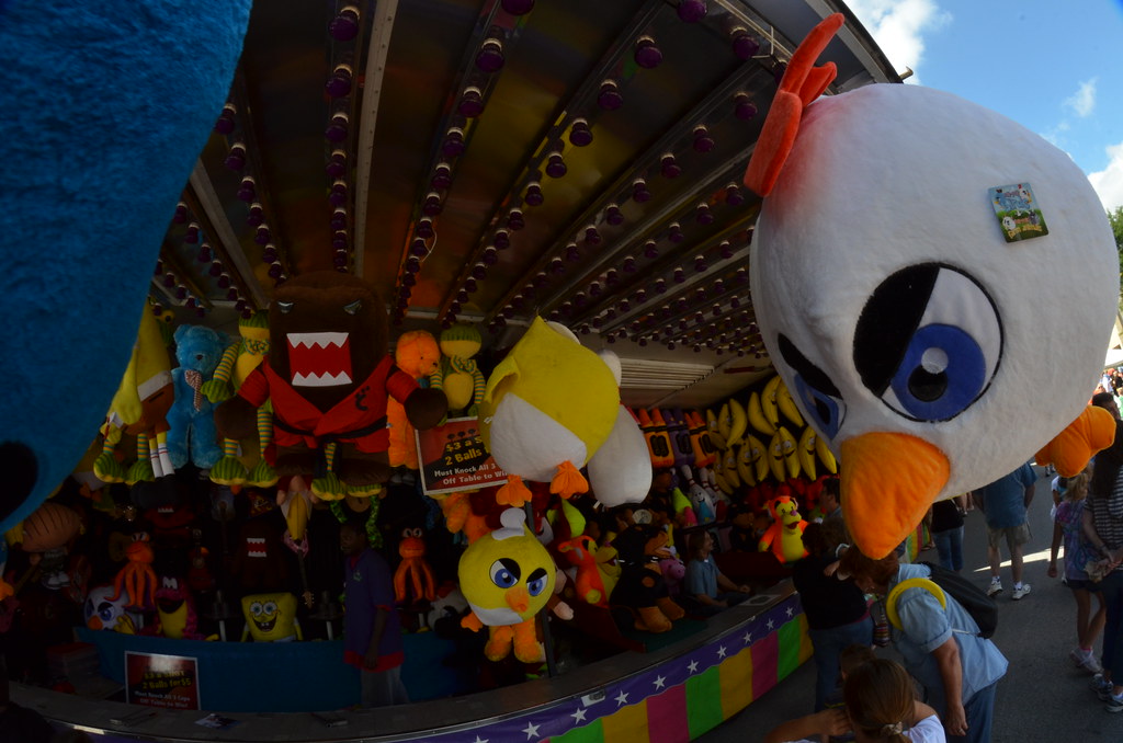 Naperville Last Fling Carnival 285