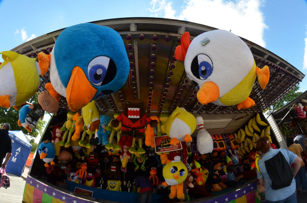 Naperville Last Fling Carnival 291