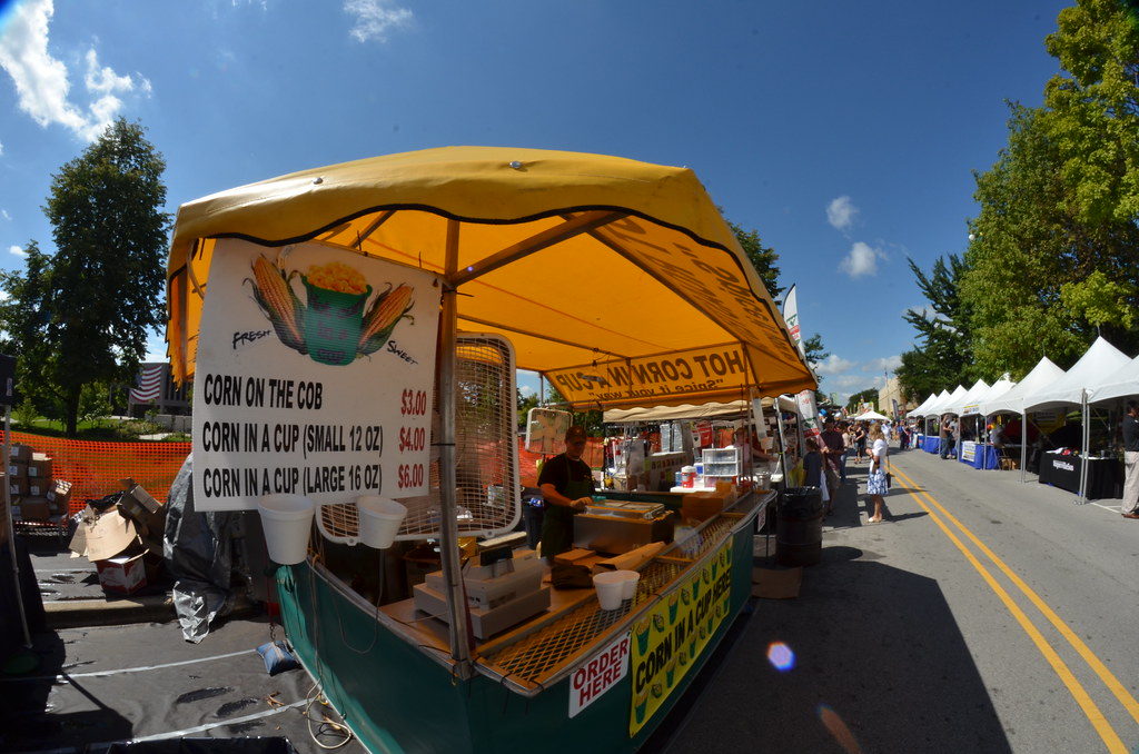 Naperville Last Fling Carnival 041