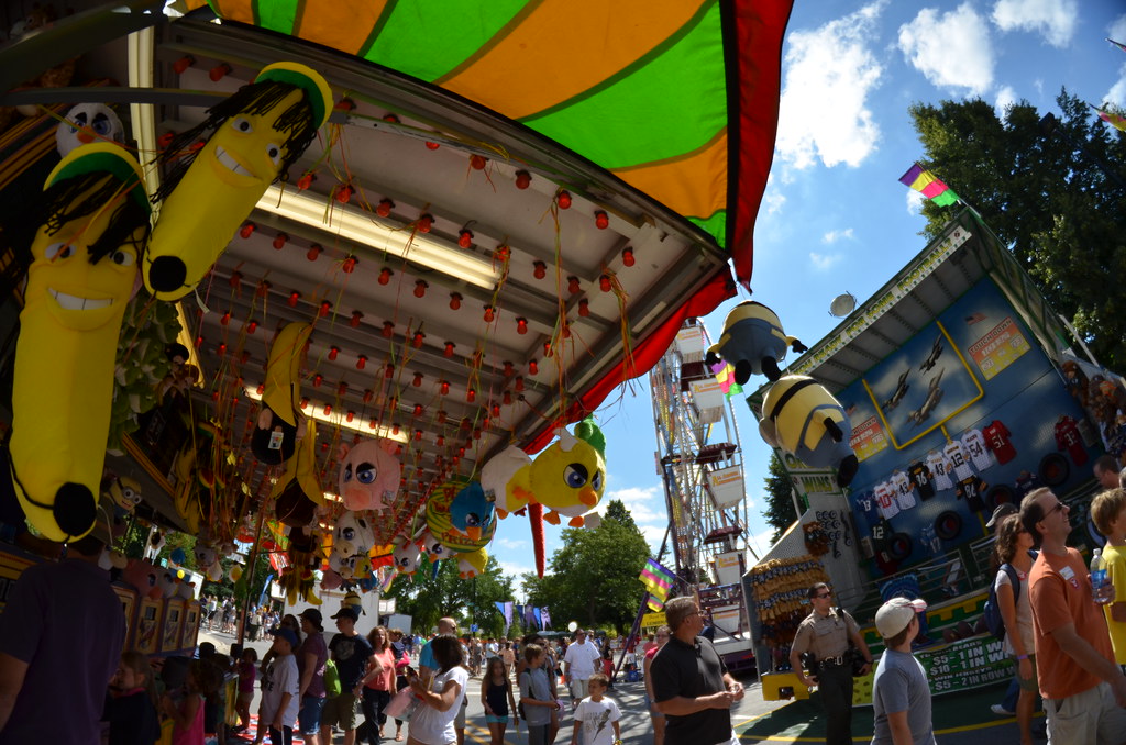 Naperville Last Fling Carnival 243