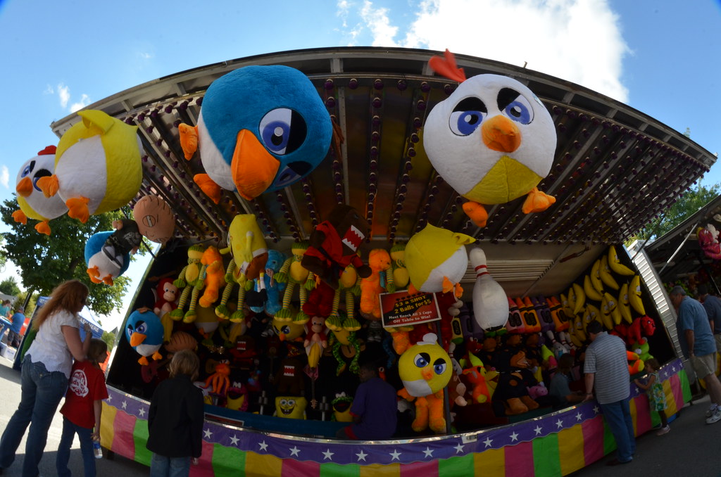 Naperville Last Fling Carnival 293