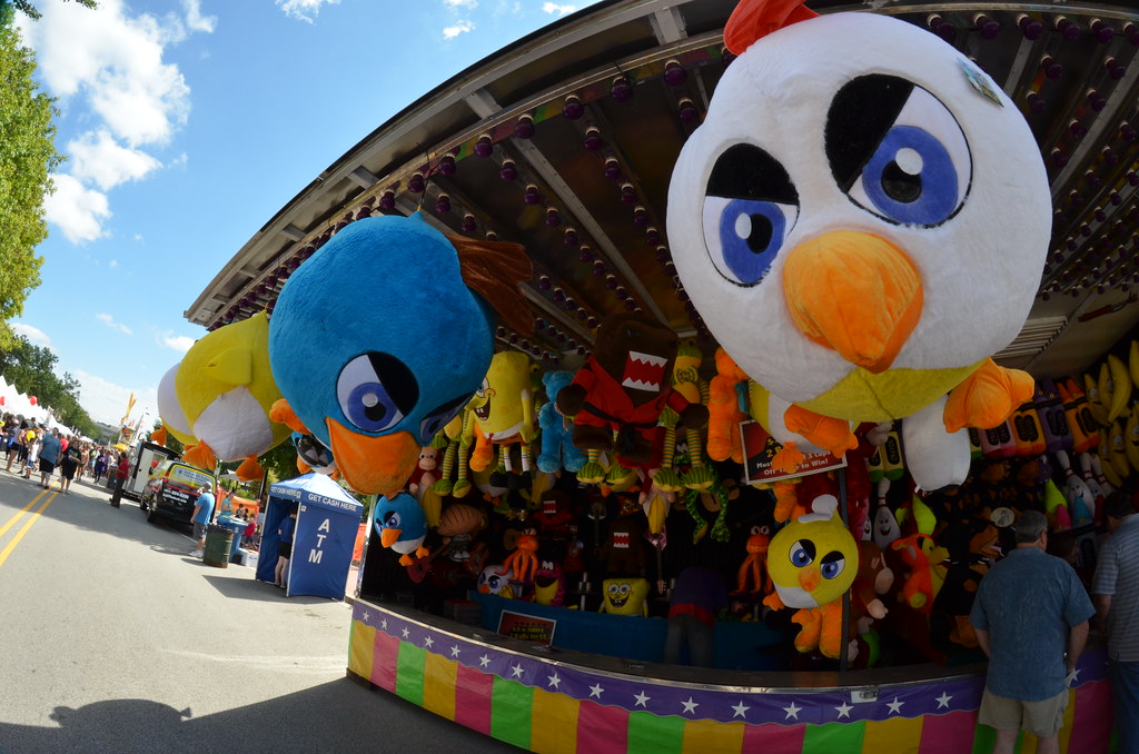 Naperville Last Fling Carnival 308