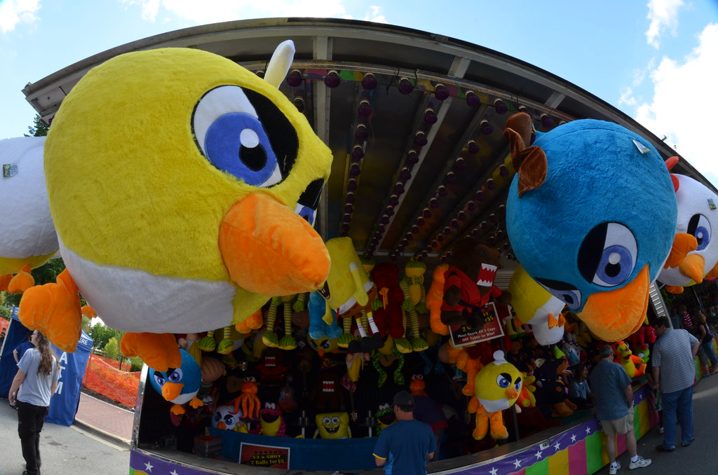 Naperville Last Fling Carnival 317