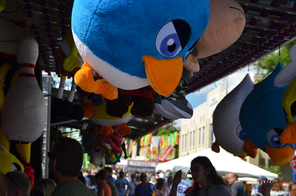 Naperville Last Fling Carnival 369