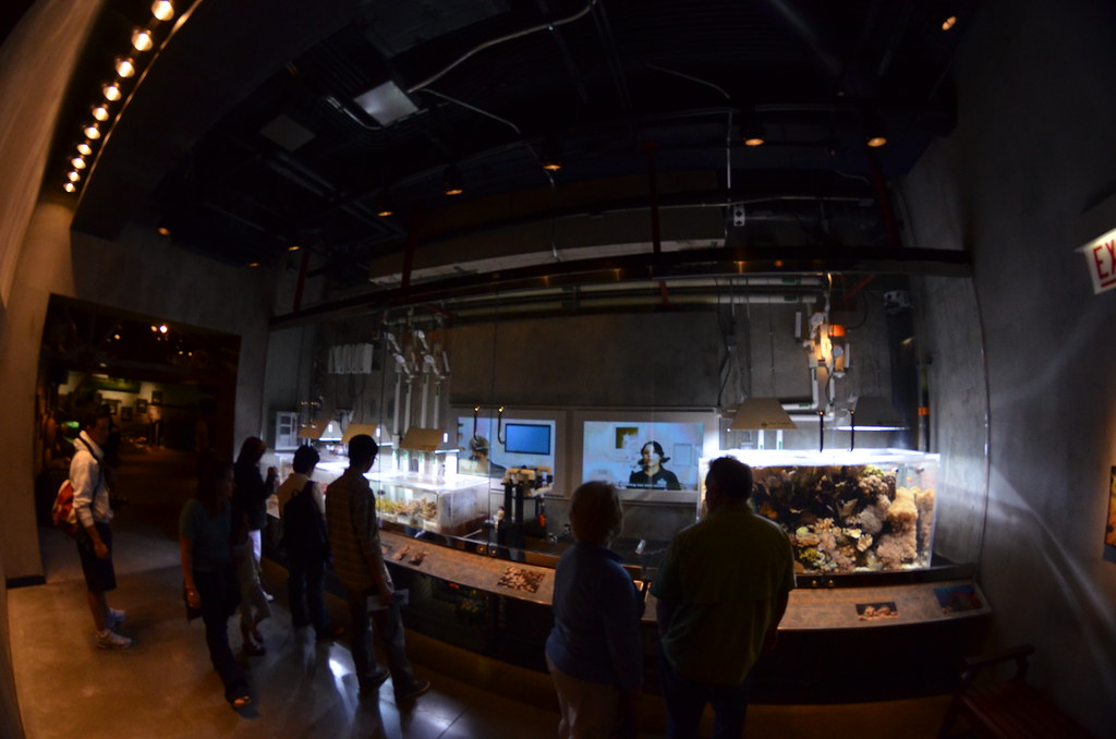 Chicago Shedd Aquarium 262