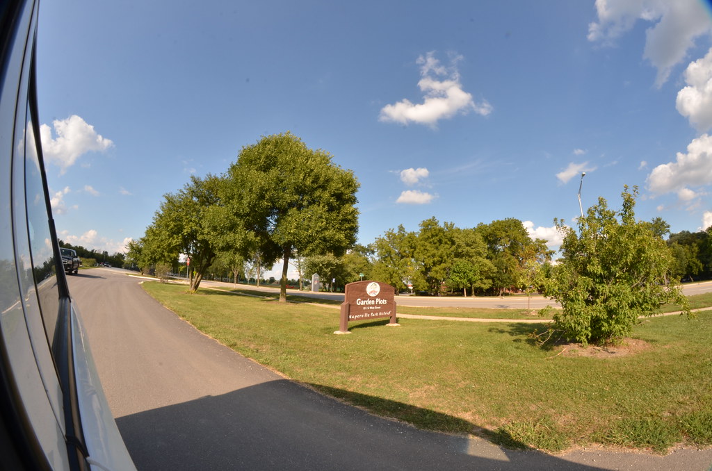 Driving Fisheye 119