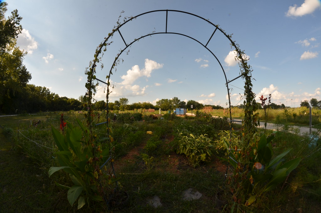 Naperville Garden Plot