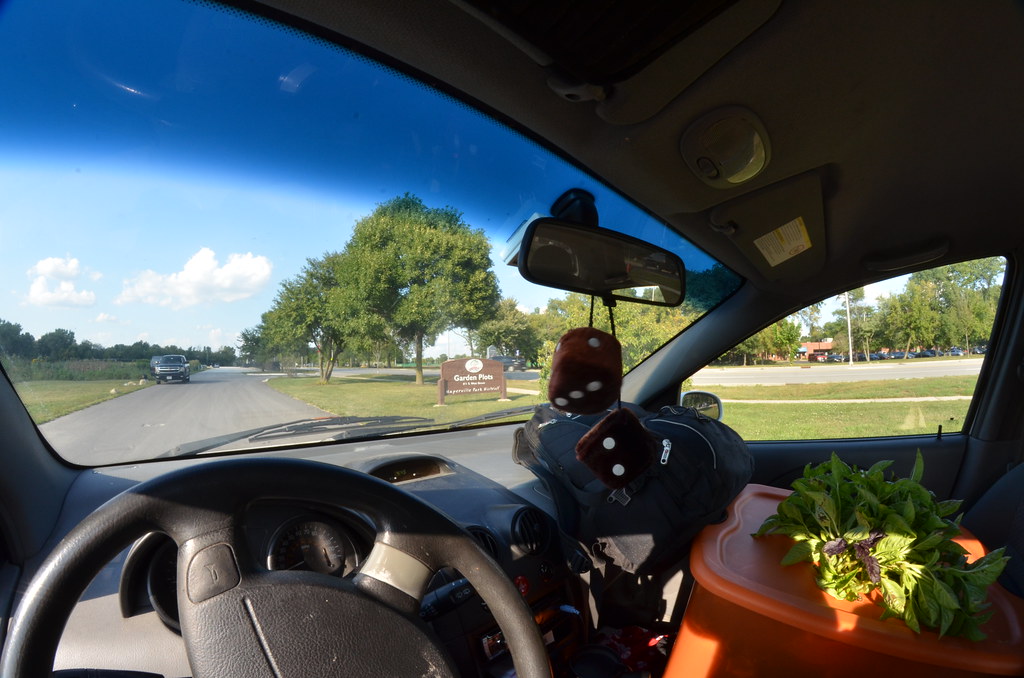 Fisheye 139