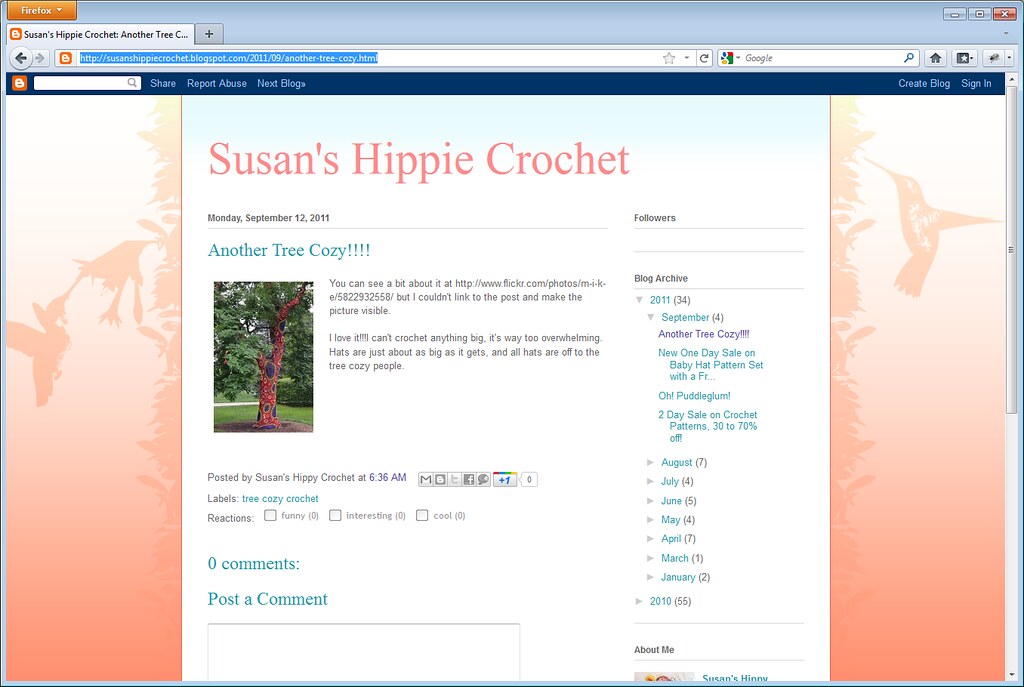 Image Used by Susan’s Hippie Crochet