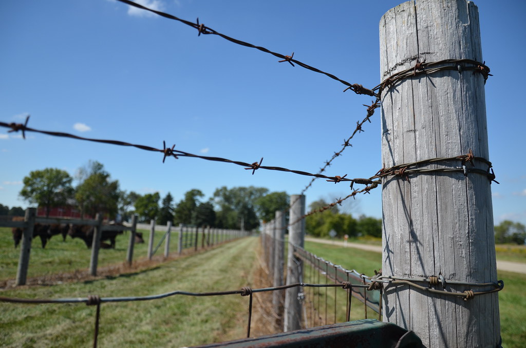 Fermilab Bison Fence