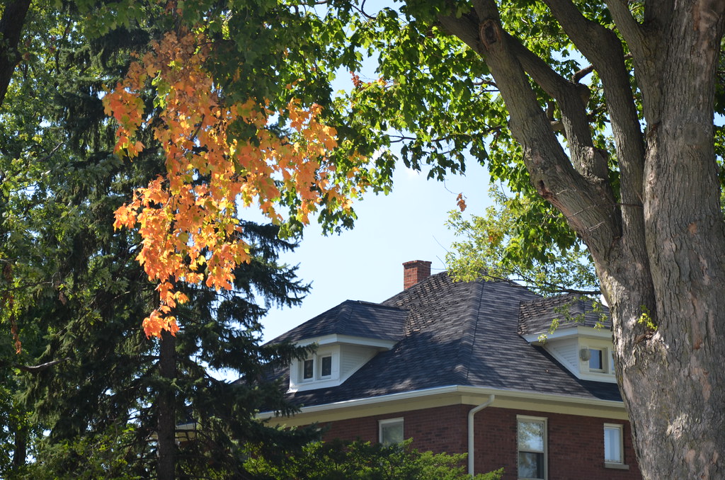 First Autumn Colors