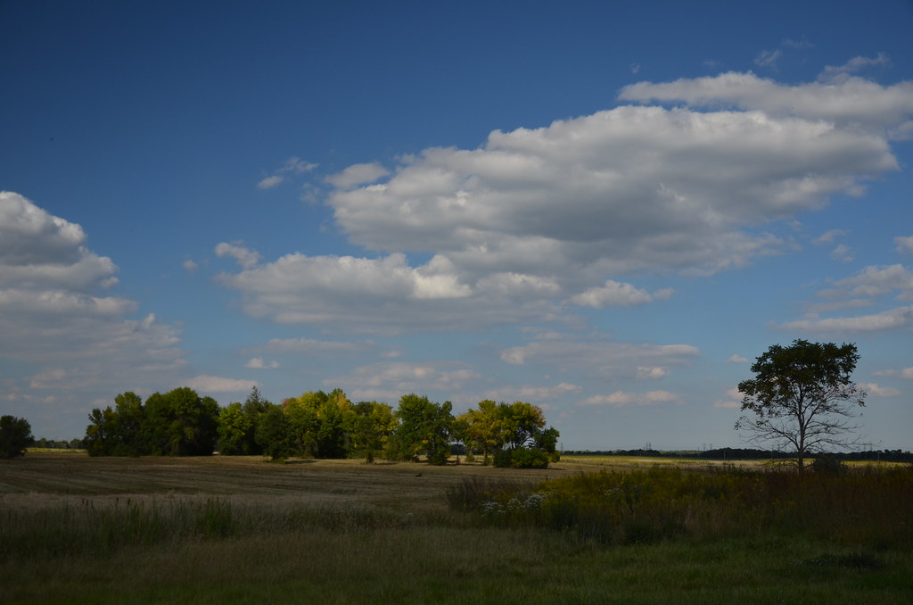 Fermi National Accelerator Laboratory 589
