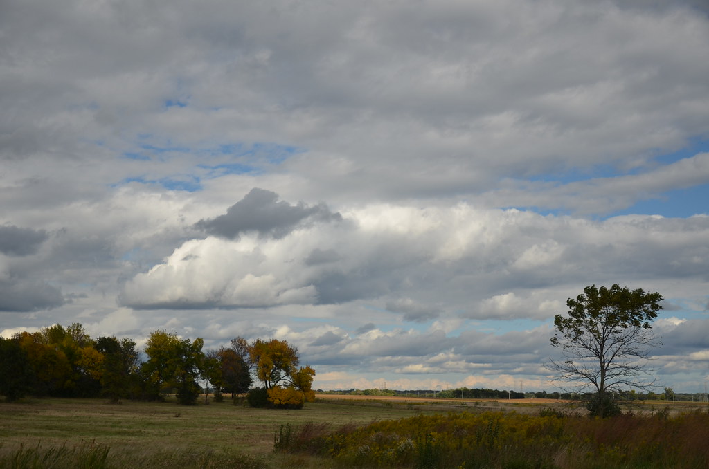 Fermilab Tevatron Shutdown 1256