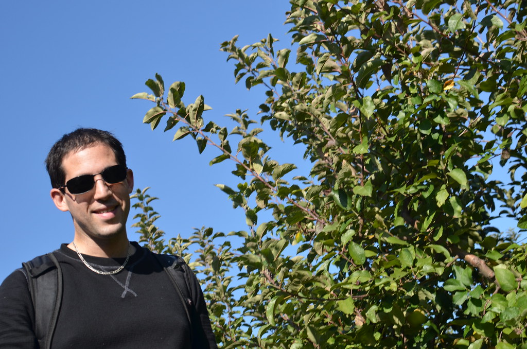 Jonamac Orchard 175