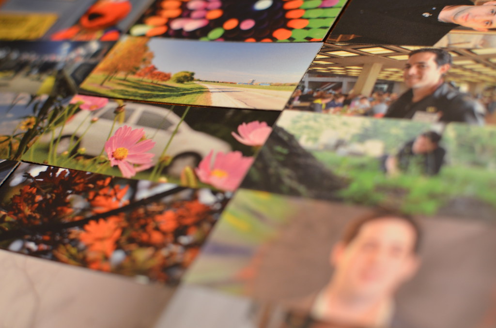 Moo Mini Cards