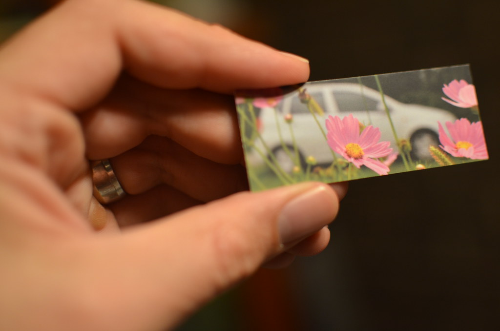 Moo Mini Card