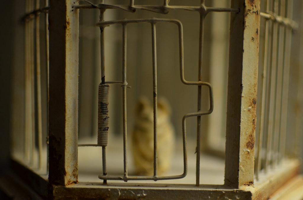 Bat and Cage