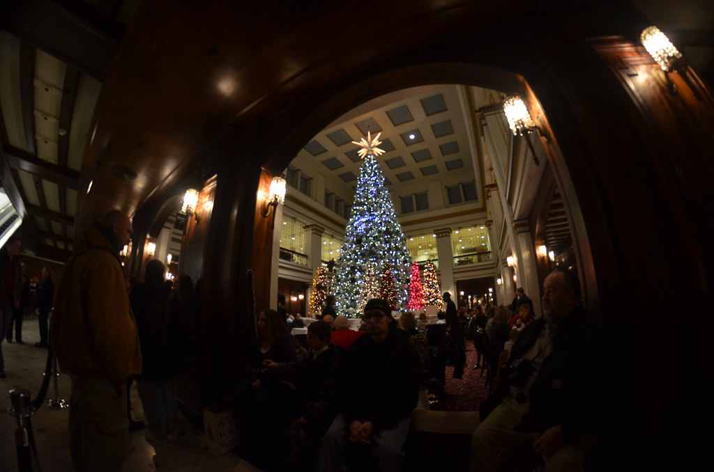 Christmas Tree at Macy’s in Chicago