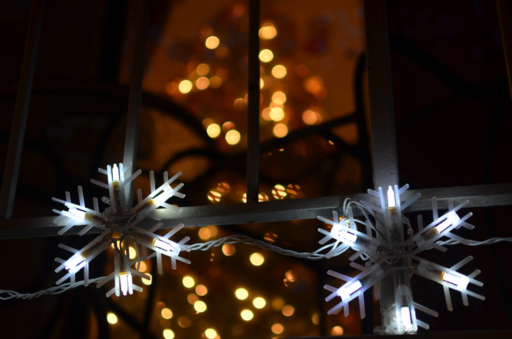 Christmas Lights 889