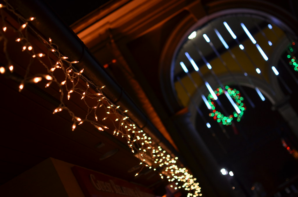 Christmas Lights at Brookfield Zoo 334