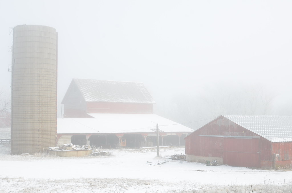 Foggy Farmhouse